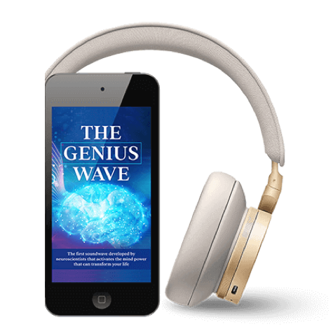 The Genius Song — The Genius Song — brain program